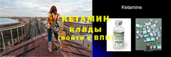 сатива Верея