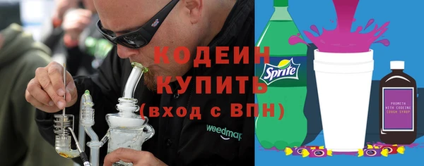 сатива Верея