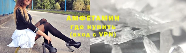 сатива Верея