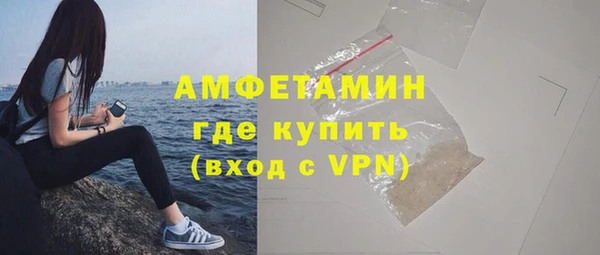 сатива Верея
