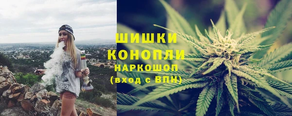 сатива Верея