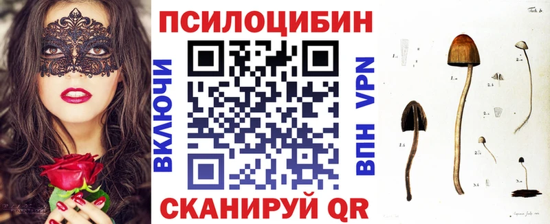 Псилоцибиновые грибы мицелий  кракен вход  Новоржев 