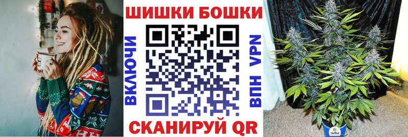 цены наркотик  Новоржев  blacksprut как войти  Шишки марихуана SATIVA & INDICA 